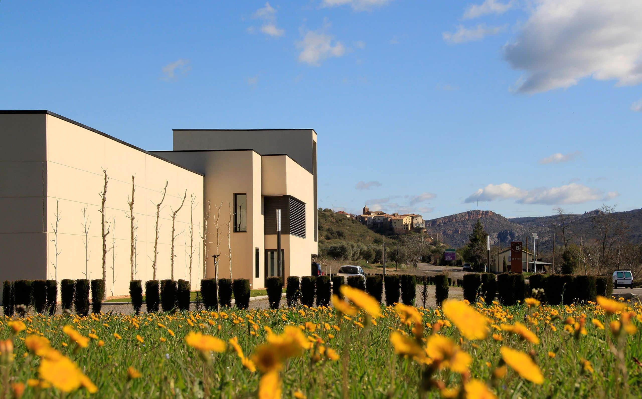 Viñedos Somontano Huesca Bodega Otto Bestué