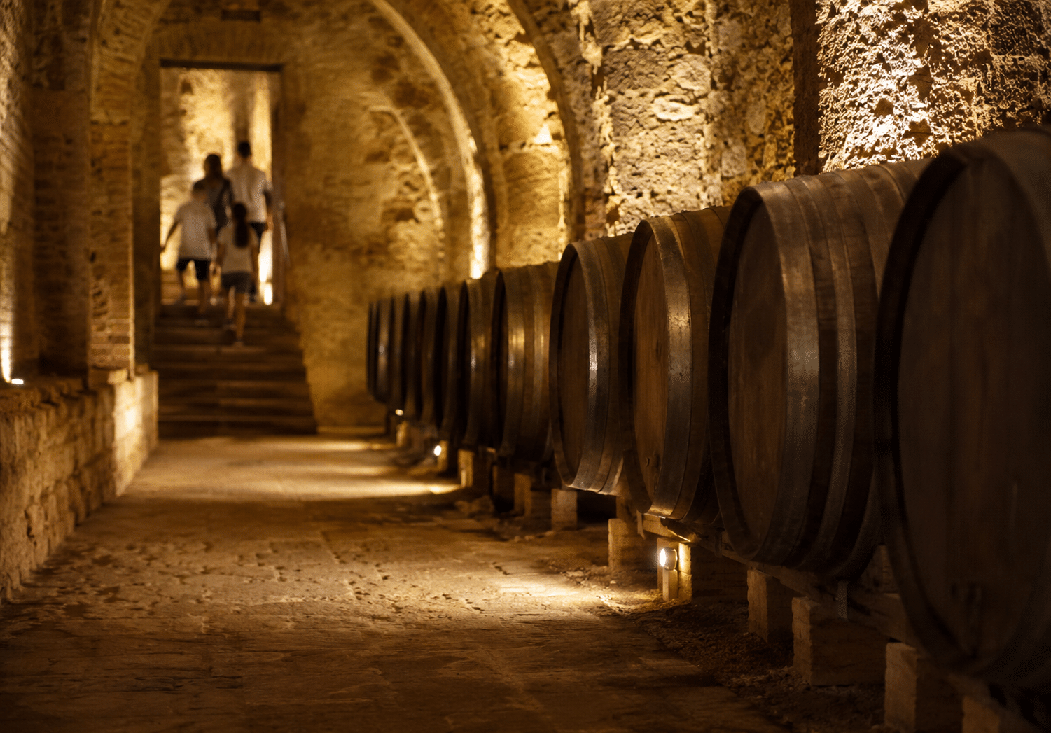 Experiencia Chiguito en Bodega Luis Medina