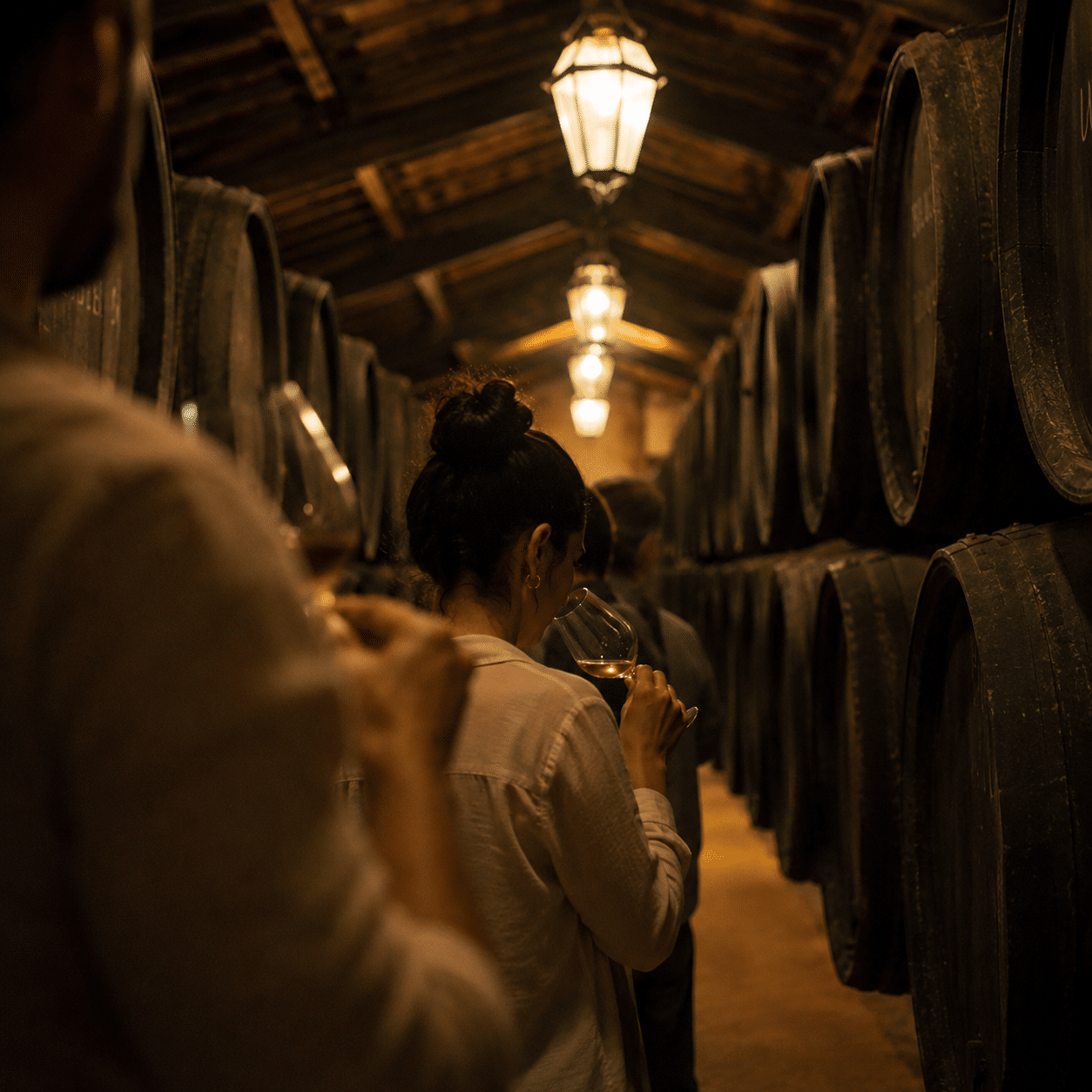 Ruta del Alquimista en Bodegas Toro Albalá