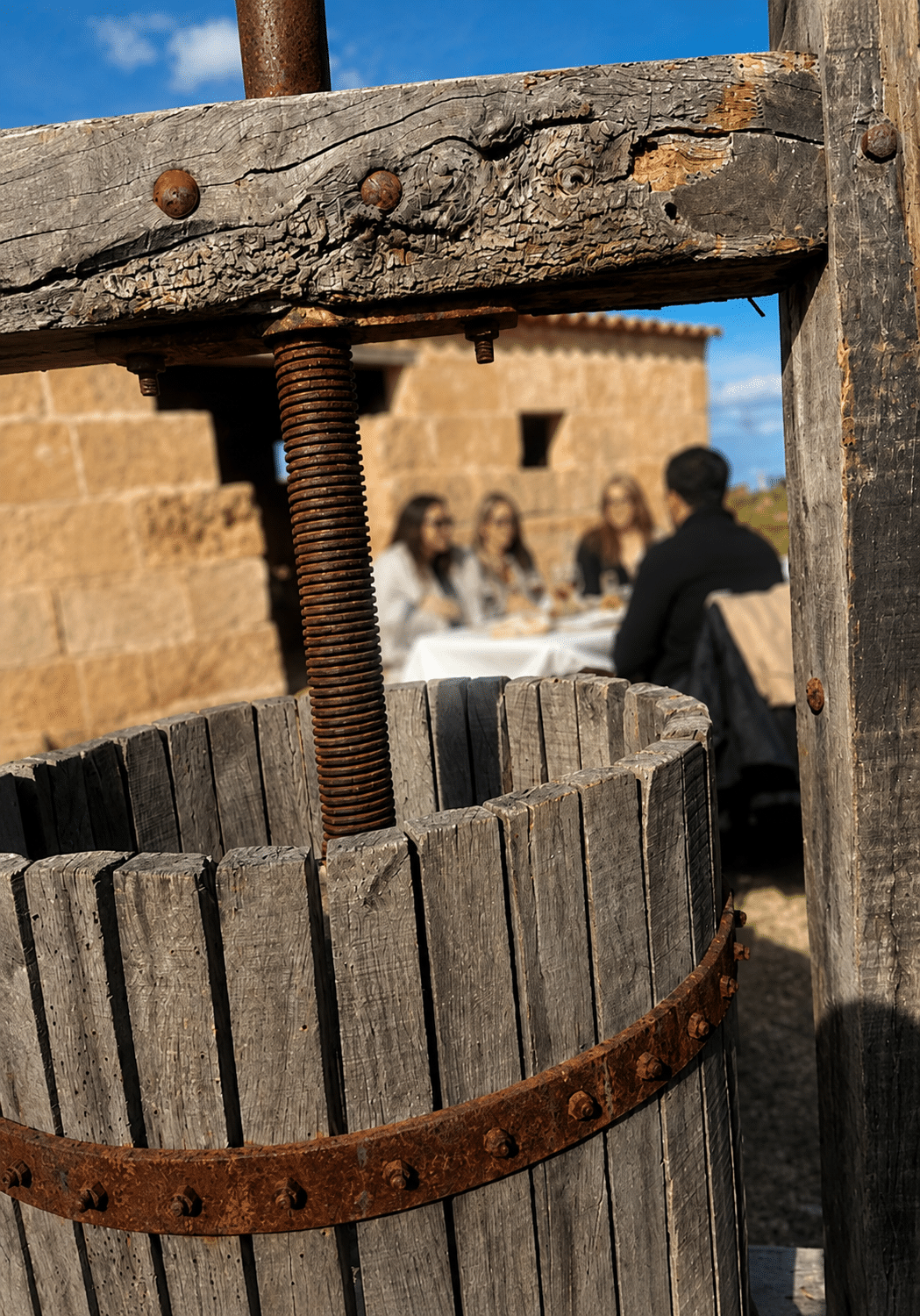 Vinos artesanales de Bodega Can Morgan con vistas al viñedo