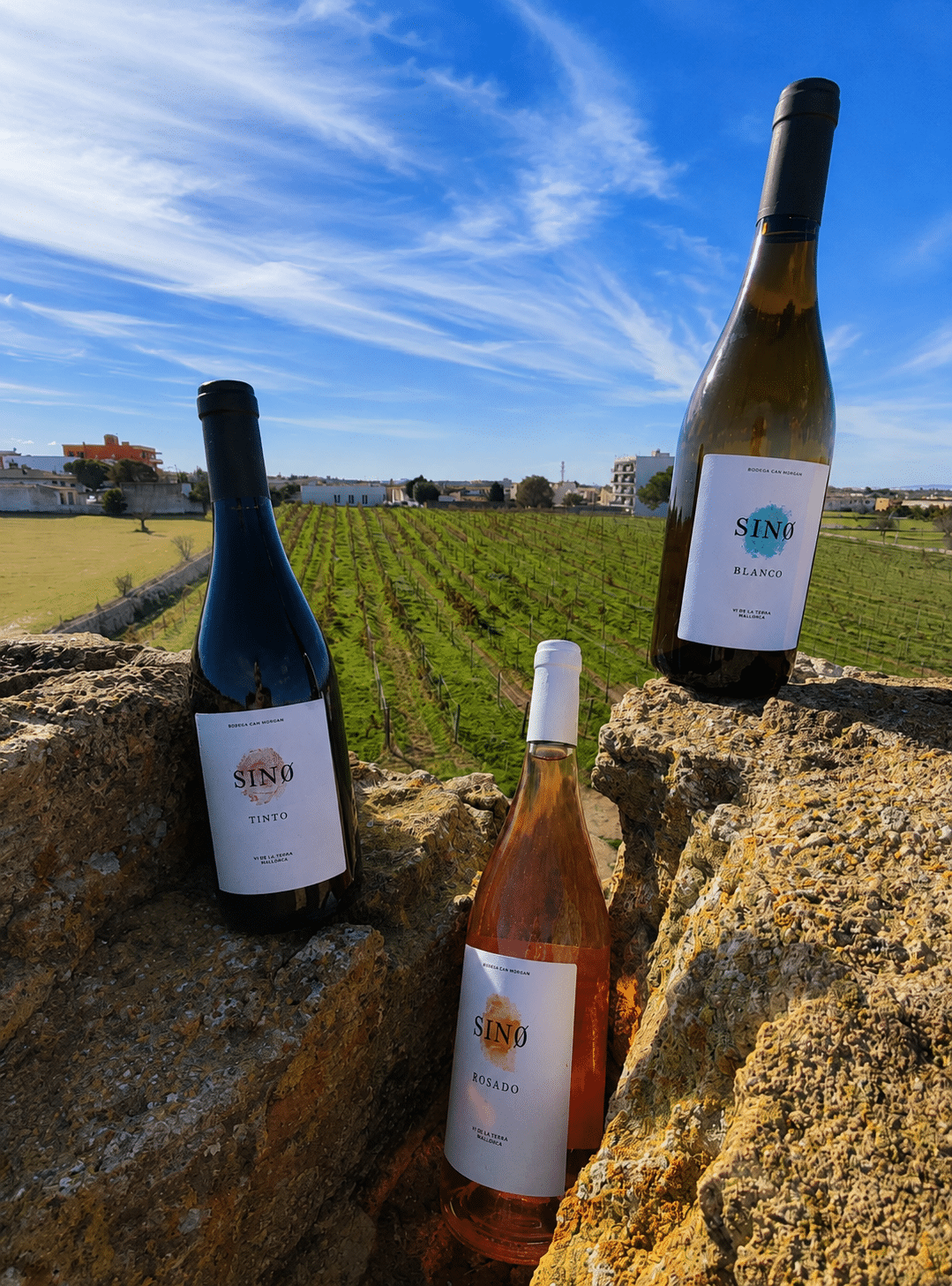 Viñedos de Bodega Can Morgan en Mallorca