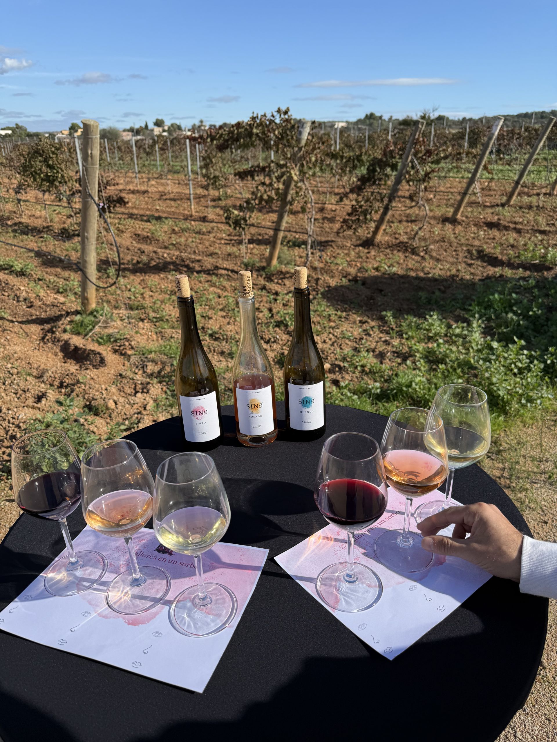 Cata de vinos y visita guiada en Bodega Can Morgan