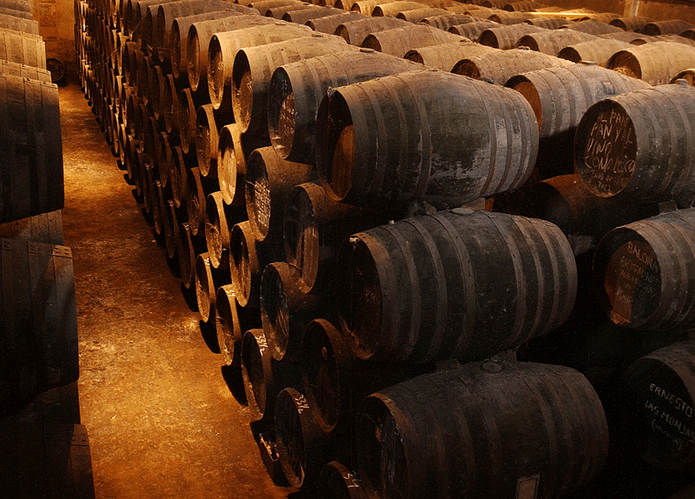 Sala de crianza y botas centenarias en Toro Albalá
