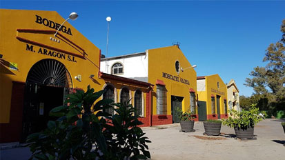 BODEGA MANUEL ARAGÓN