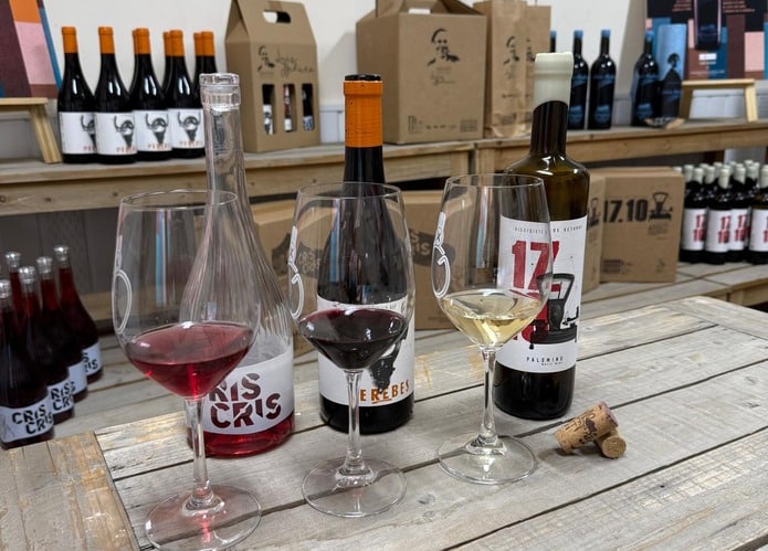 Cata de vinos en Bodega Luis Medina en Toro