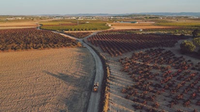 Bodega Vega Tolosa