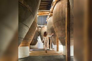 Bodegas Torres Filoso