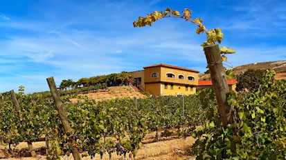 Bodegas Valdubón