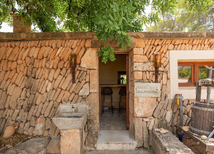 Viñedos en Mallorca y entorno natural de Bodegas Bordoy