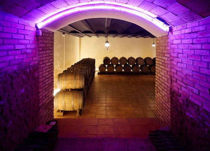 Sabores de la Tierra en Viña de Eufemia