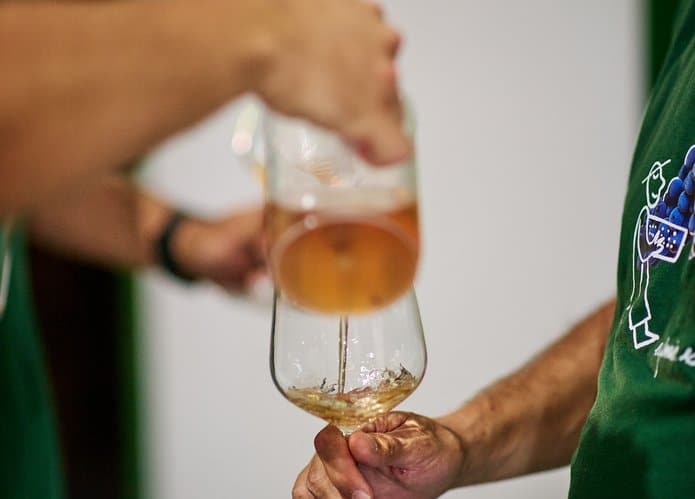 Vinos de Viña de Eufemia y visita a la bodega en Utiel-Requena