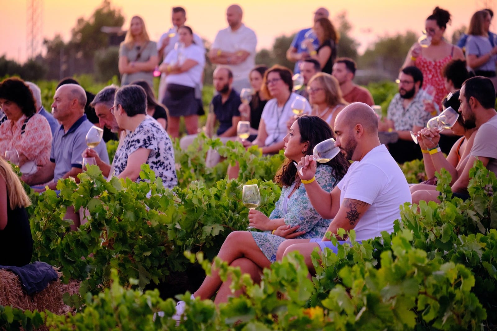 Música entre Vinos 2026 en GarageWine