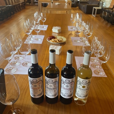 Tour Casa Primicia y cata de vinos en Laguardia