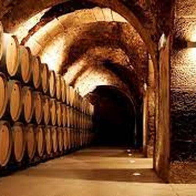 Visita ecológica y cata de vinos en Casa Primicia