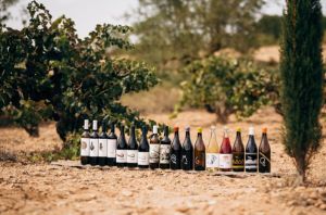 Vinos Bodegas Gratias