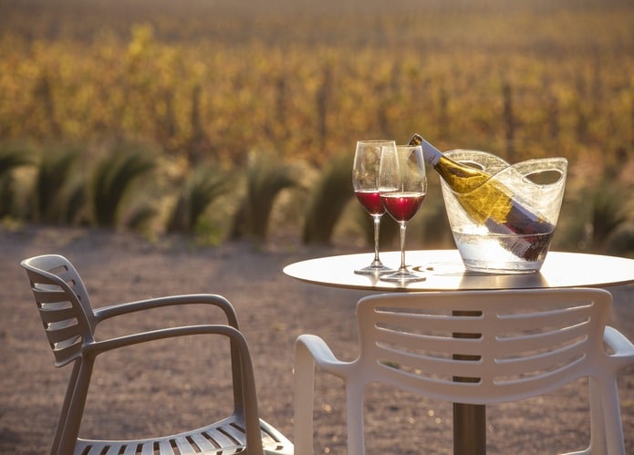 Degustación de vinos en Girona con terraza y viñedos en Mas Geli