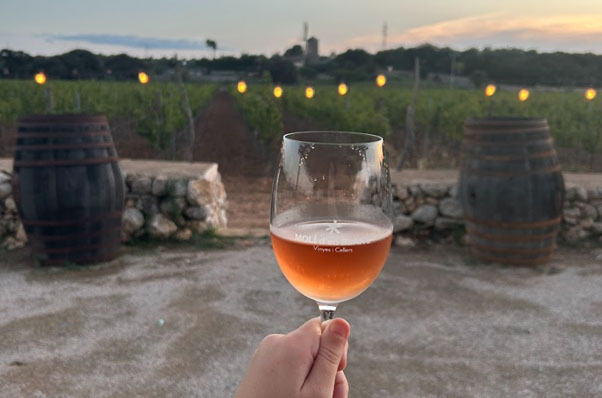 Bodegas Molí d’en Blanc