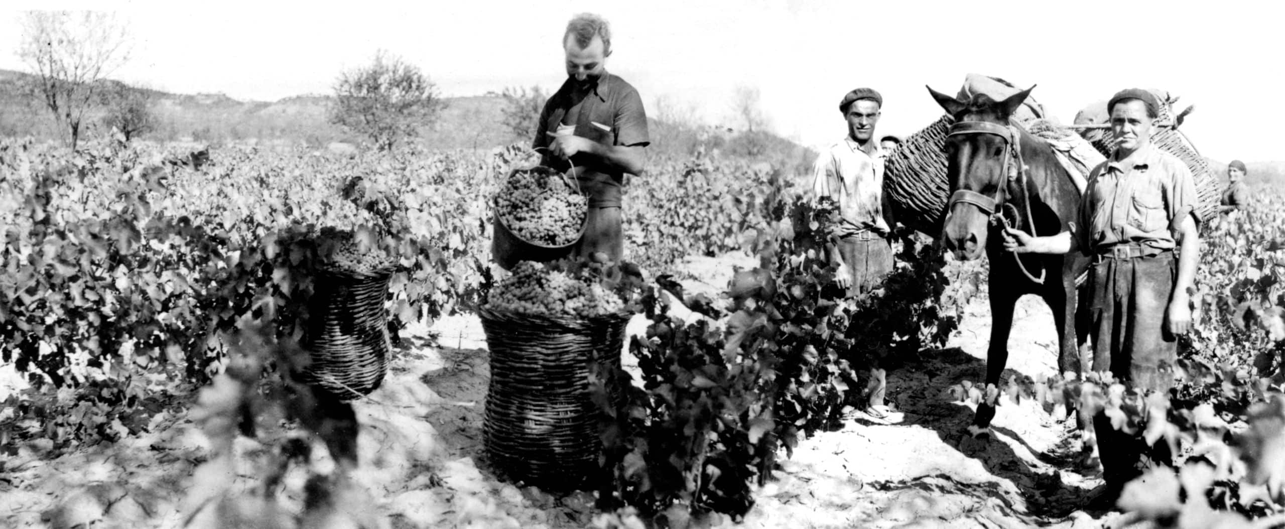 Historia de Bodega Otto Bestué en Somontano