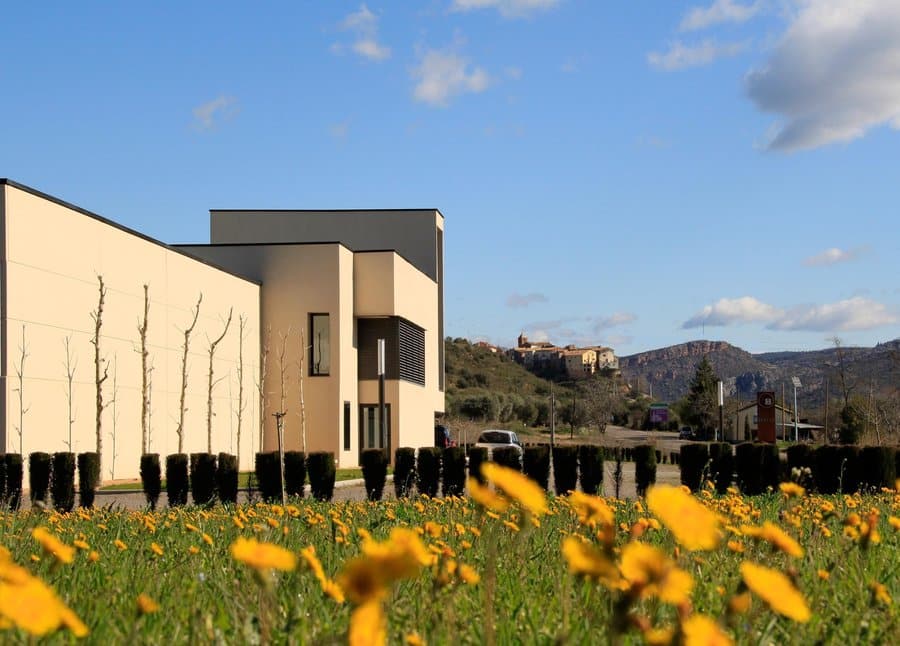 Viñedos y entorno de Bodega Otto Bestué