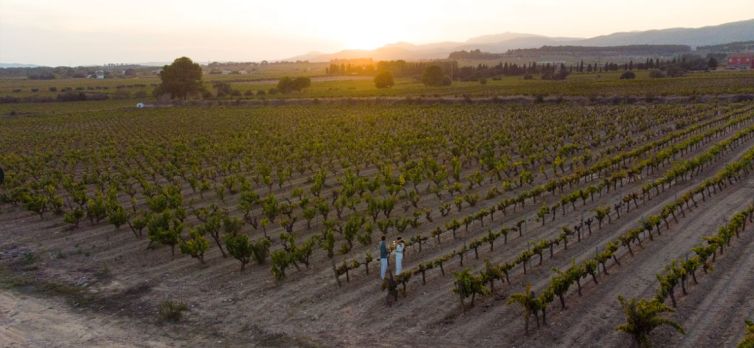 Promocionar Bodegas