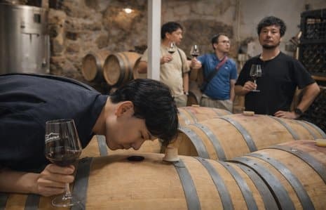 Experiencia Oro en Bodega Vínculo Serrano, Salamanca