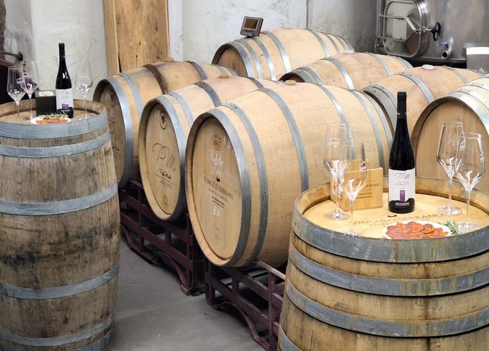 Barricas y sala de elaboración en Bodega Vínculo Serrano Salamanca