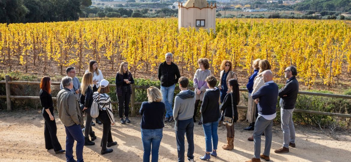 Imagen de WhatsApp 2024-01-23 a las 16.08.33_08d232aa - Mas Gil Bodegas Clos d'Agon